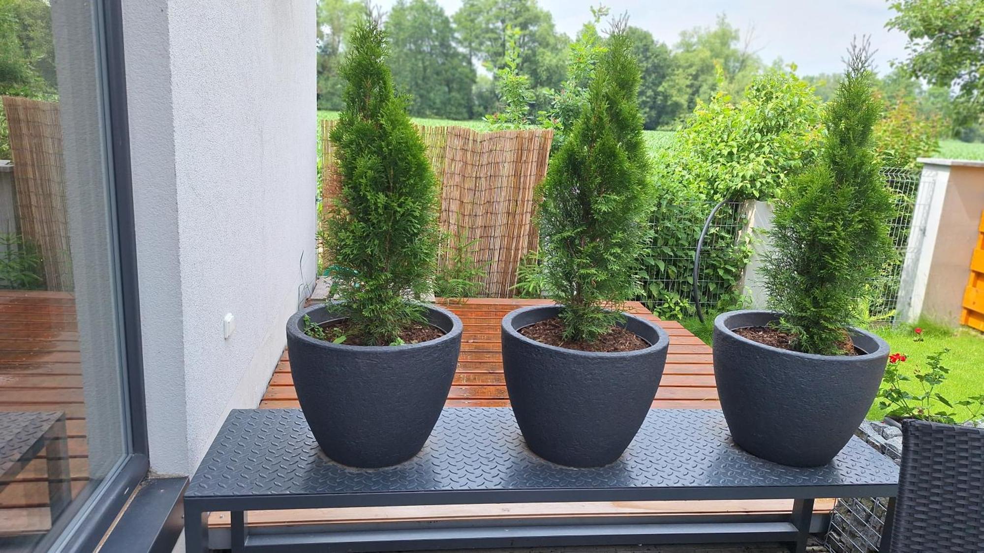 Bungalov Na Brehu Labe S Vlastnim Molem Pardubice Zewnętrze zdjęcie